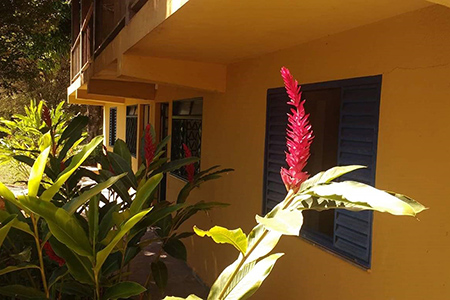 Centro Terapêutico Vida Nova